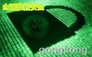 山麗網(wǎng)安 筑牢涉密信息安全防線，加密與防護軟件雙管齊下